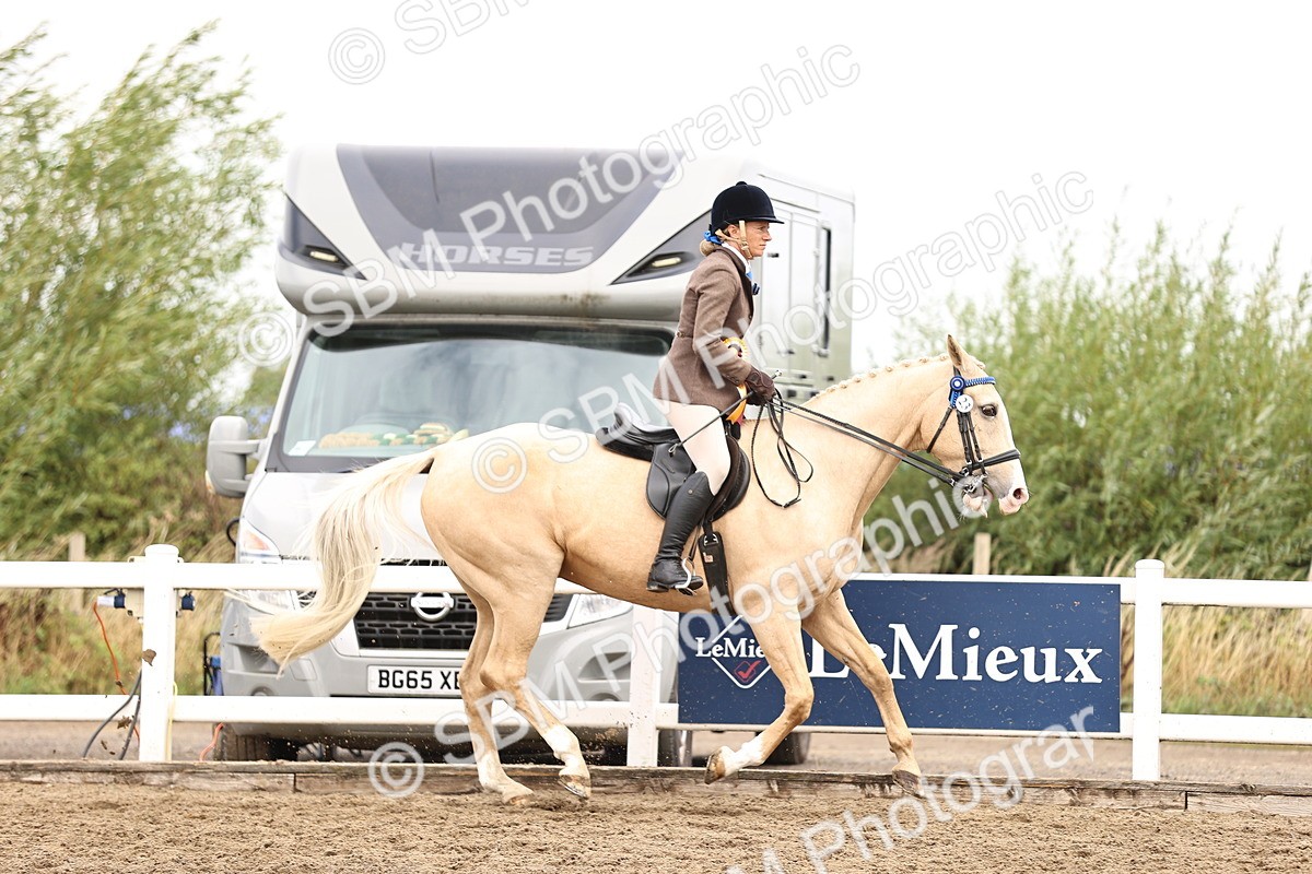 SBM_01461 - Class 54 - Riding Club Horse Pony
