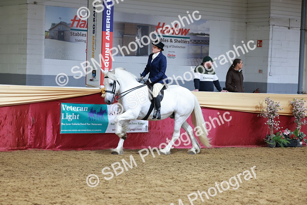 SBM_18596 - Class 952 - M&M Ridden Supreme Final