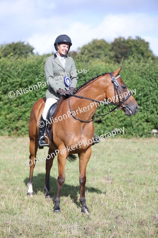 20250831-0935 - Class 14 - Ex Racehorse