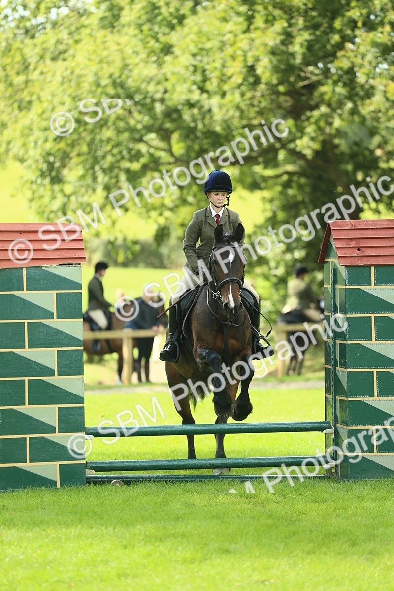 SBM_42050 - S29 - Novice & Newcomers Working Hunter Pony