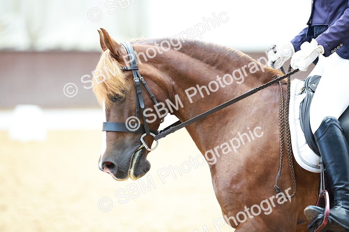 SBM_010890 - Prelim 5 - 11.38-12.48