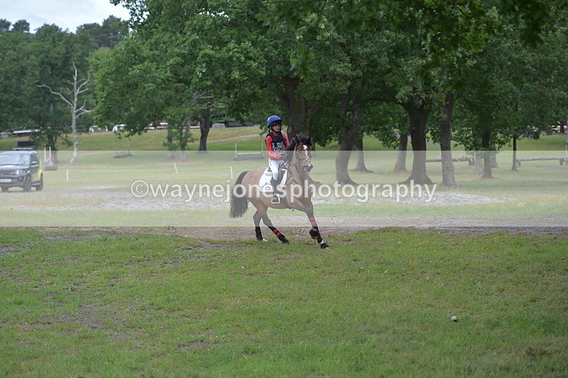 NGP_6564 - Time 10:28 to 10:48