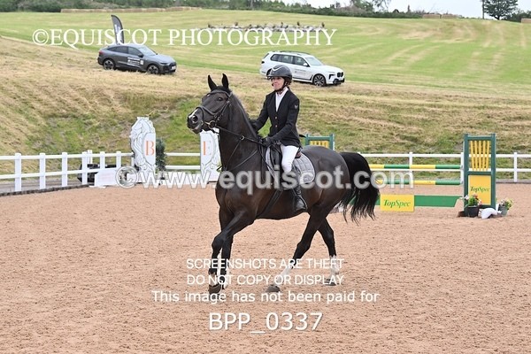 BPP_0337 - CLASS 26 SUN 5 Year Old Non Qualifier