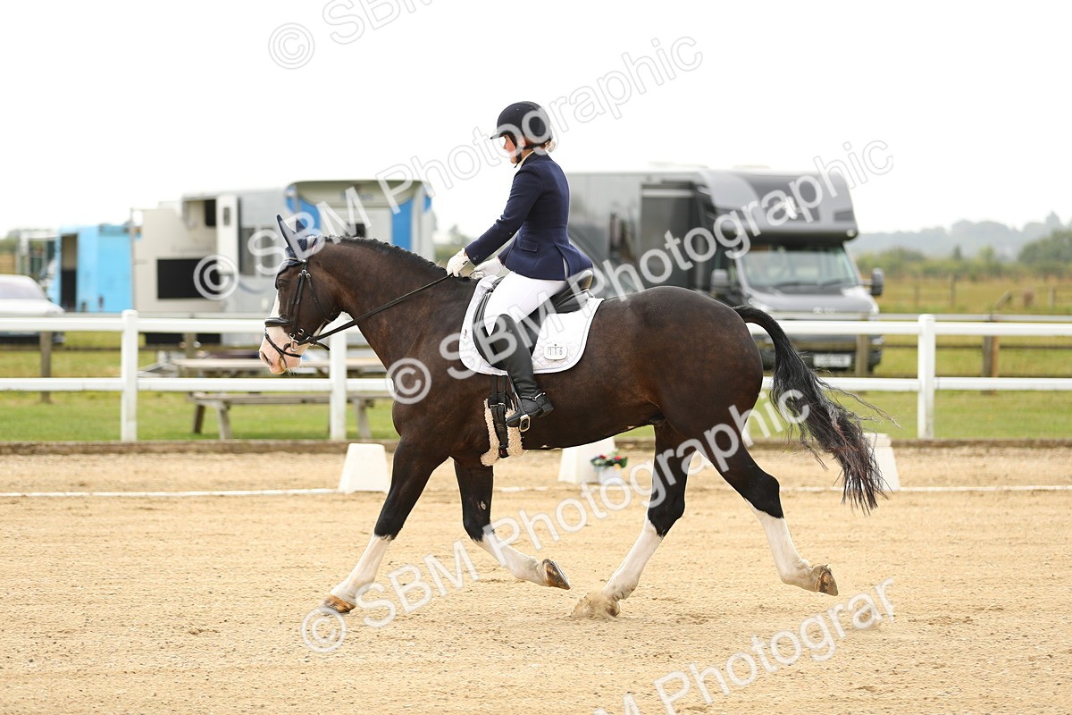 SBM_017246 - Class 13 - Novice 23 - 13.31-14.13