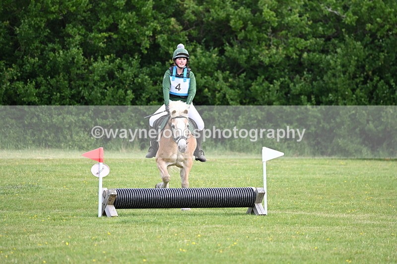 WJ6_2268 - Class 2 40cm