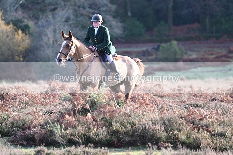 WJ7_7902 - Line 3 (no line 4 or 5)