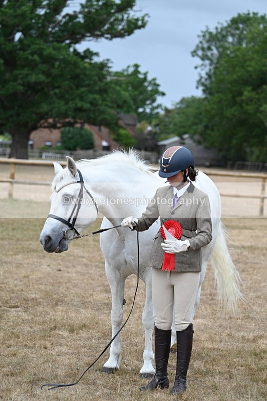 WJ7_9384 - Prettiest Mare Champs