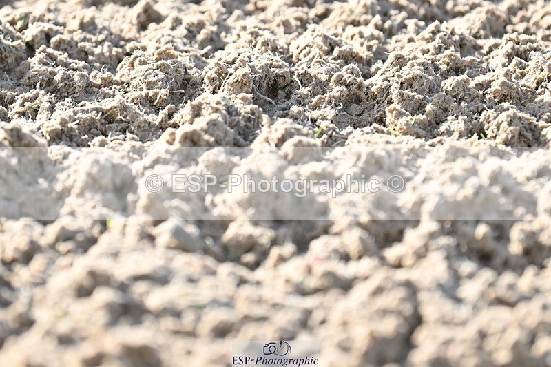 231105-102731-00779 - Cls 3 Prelim 12 9.54 to 11.10 break