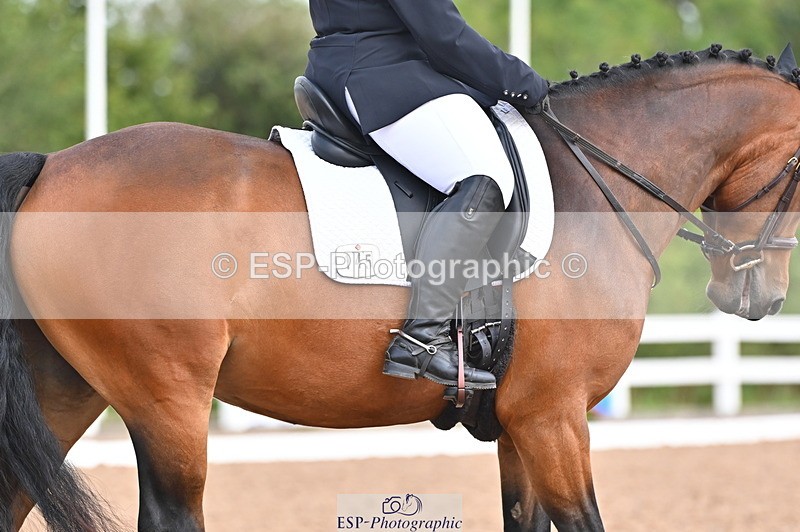 240817A-102328-07775 - 145-Carolyn.Gale-Newtown.Ringo