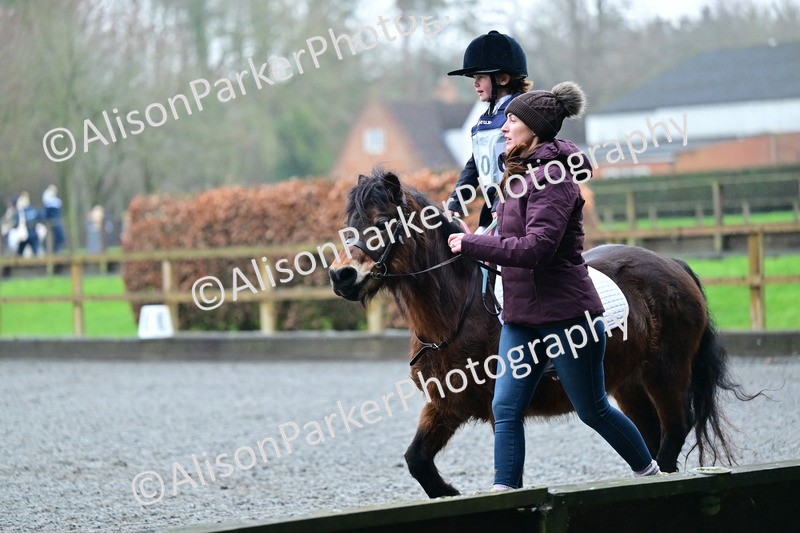 20260125-0866 - Class 9a - Walk Trot Assisted