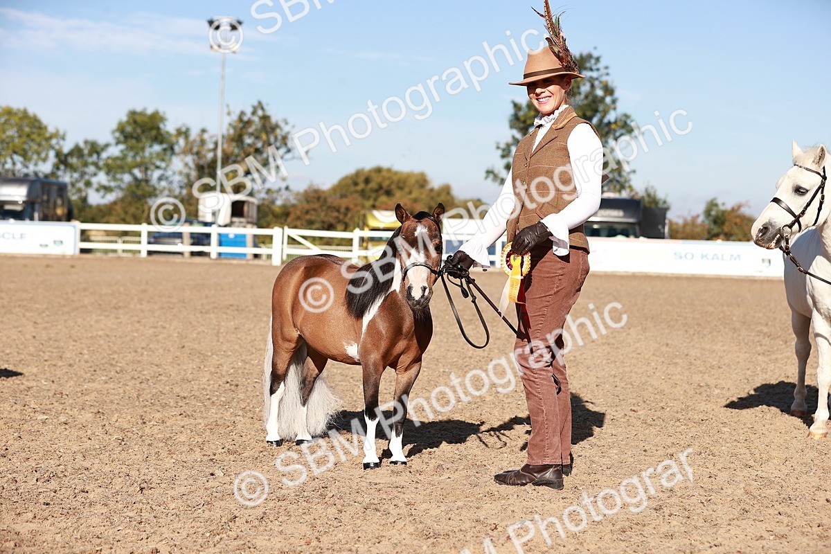 SBM_11464 - Class 402 - IH  Veteran pony
