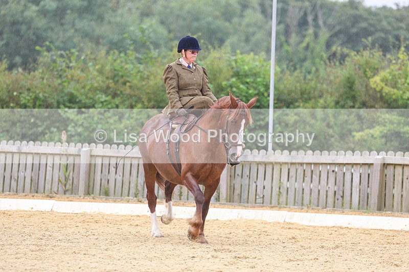 3E7A5477 - Class 2: Intro 4 2024 section B