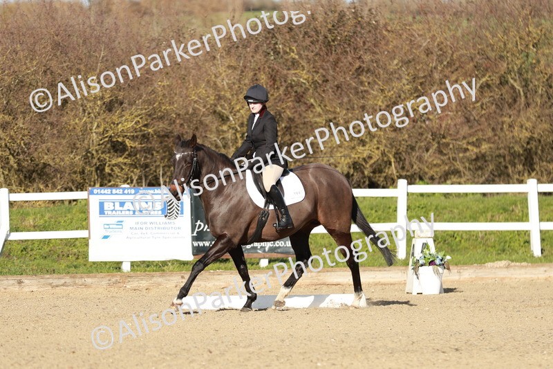 20260314-5349 - DR4 - Prelim 2