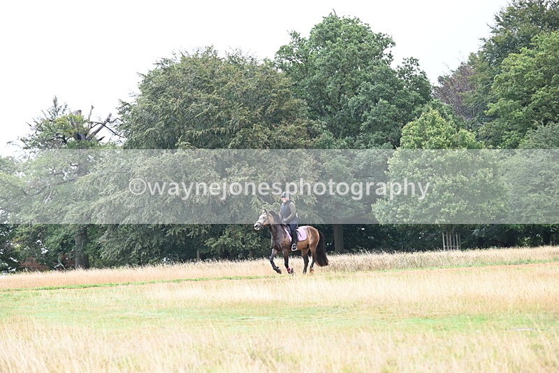 DSC_1878 - Time at Statue 12:13 to 12:32