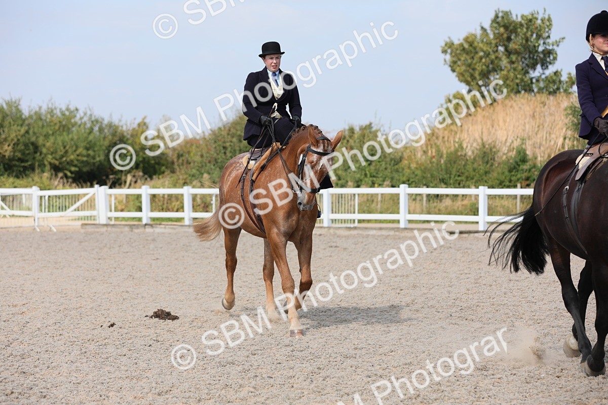 SBM_14548 - Class 211 Best Side Saddle Horse/Pony