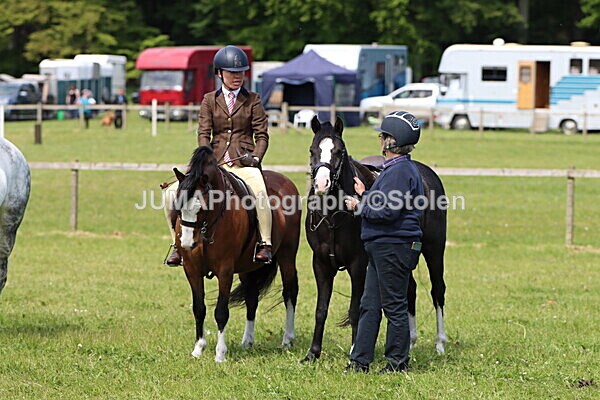 IMG_3456 - Working Hunter