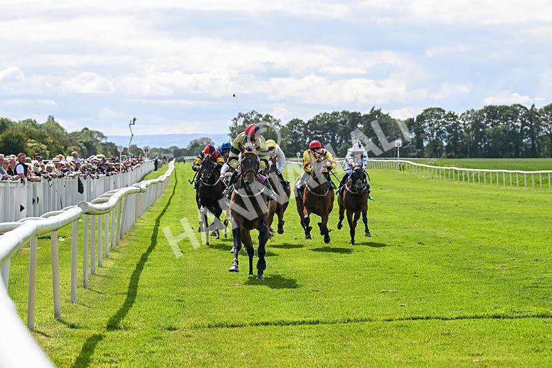 060625-Race 5-Miss Brazen-4925 - Race 5