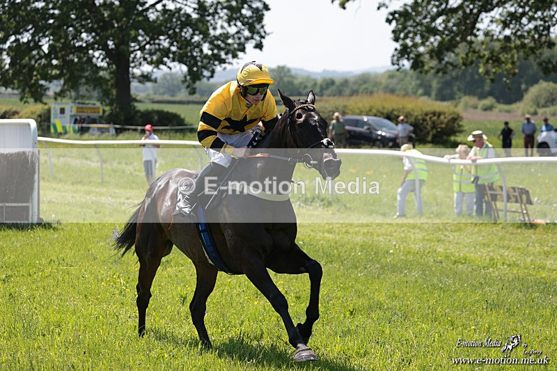 PtP 250526 69 - Albrighton & Woodland PtP Chaddesley Corbett 25/05/26