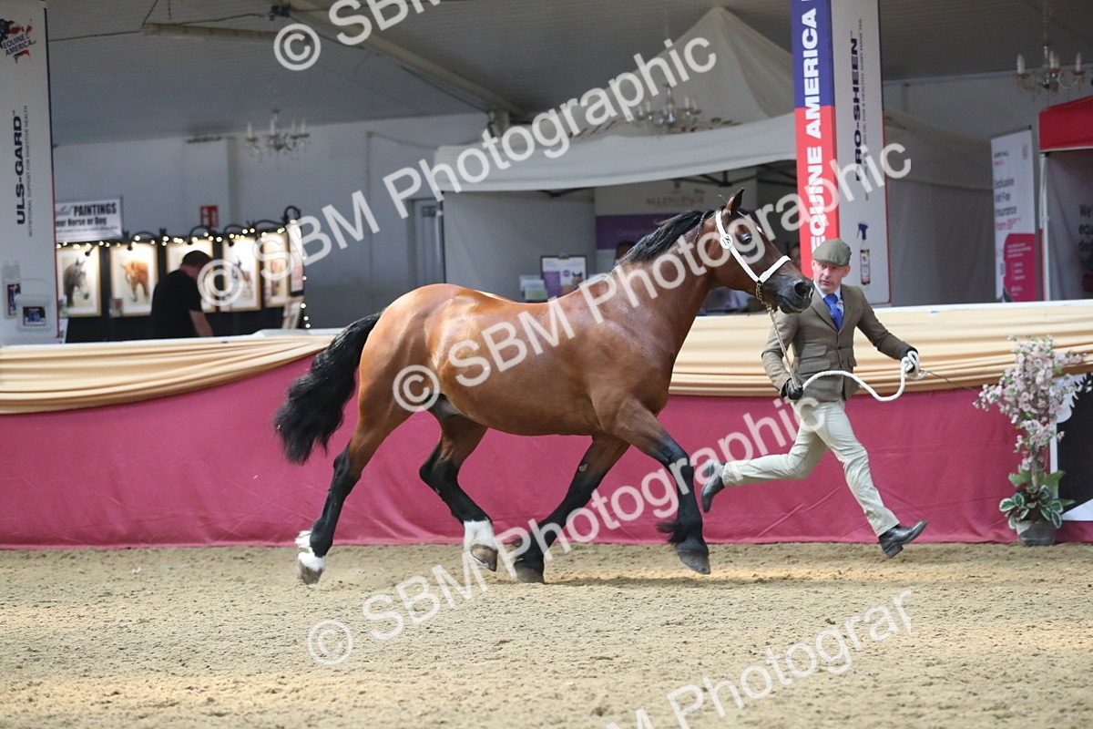 SBM_15200 - Class 501 M&M IH Supreme Final