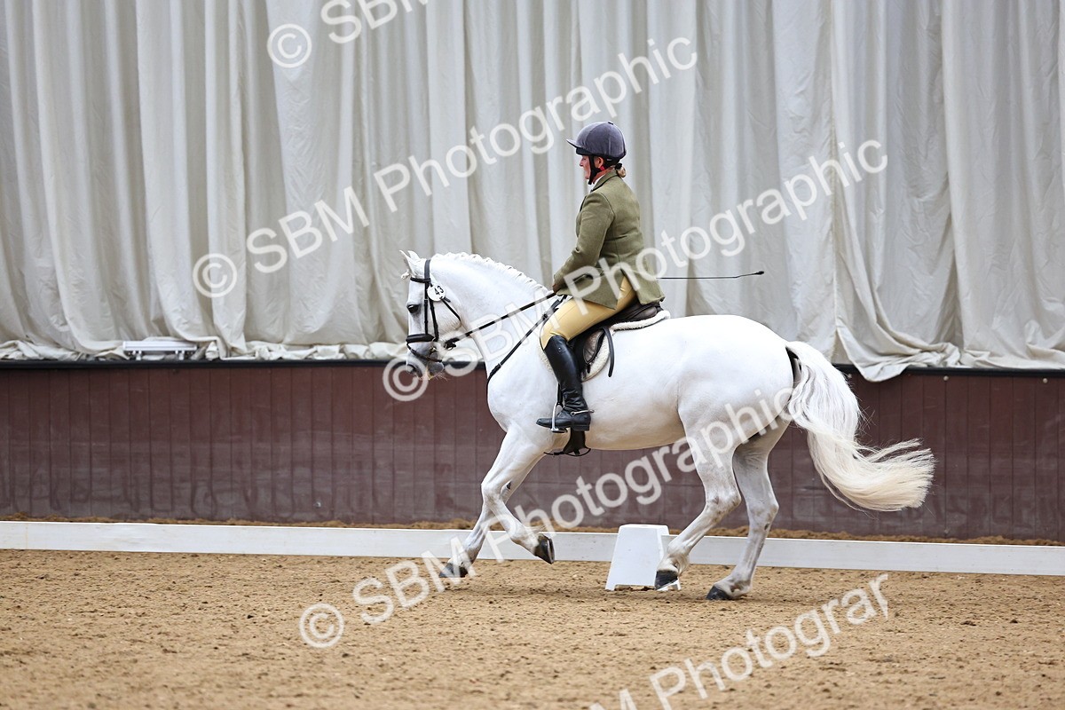 SBM_005473 - Elementary 2