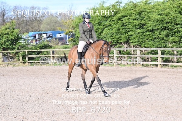 BPP_6729 - RING 1  (RIDDEN HORSES / IN HAND / VETERAN ETC)