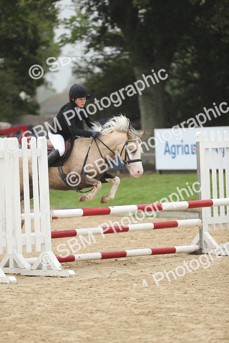 SBM_73831 - J16 - Junior Pony 75cm Championship