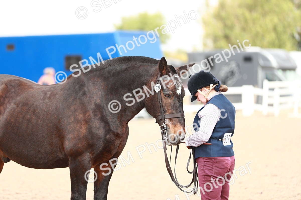 SBM_13246 - Class 208 IH Veteran Horse