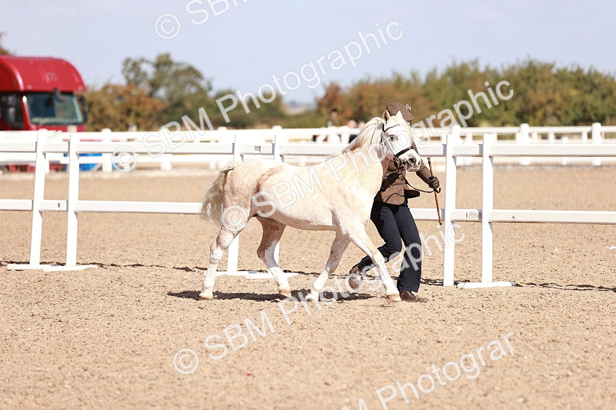 SBM_22875 - Class 706 - IH Veteran