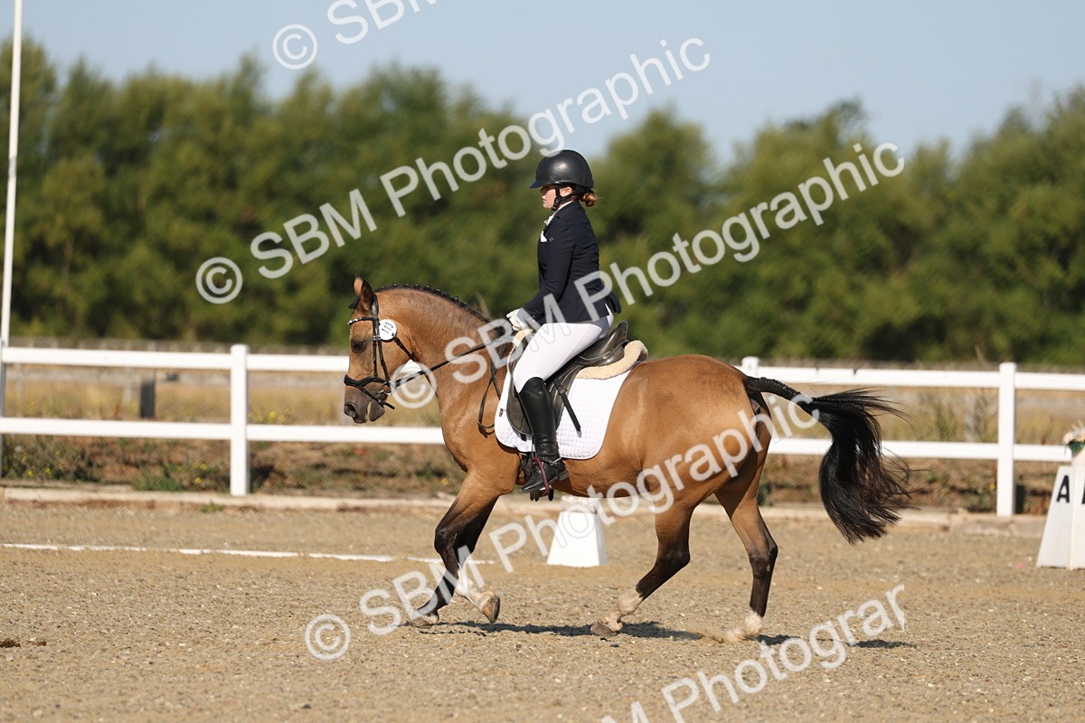 SBM_012622 - Class 1 - P5 Bronze 9.00.10.12
