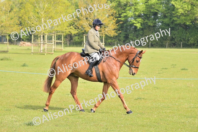 20260426-0863 - Class 18 - Novice Showing