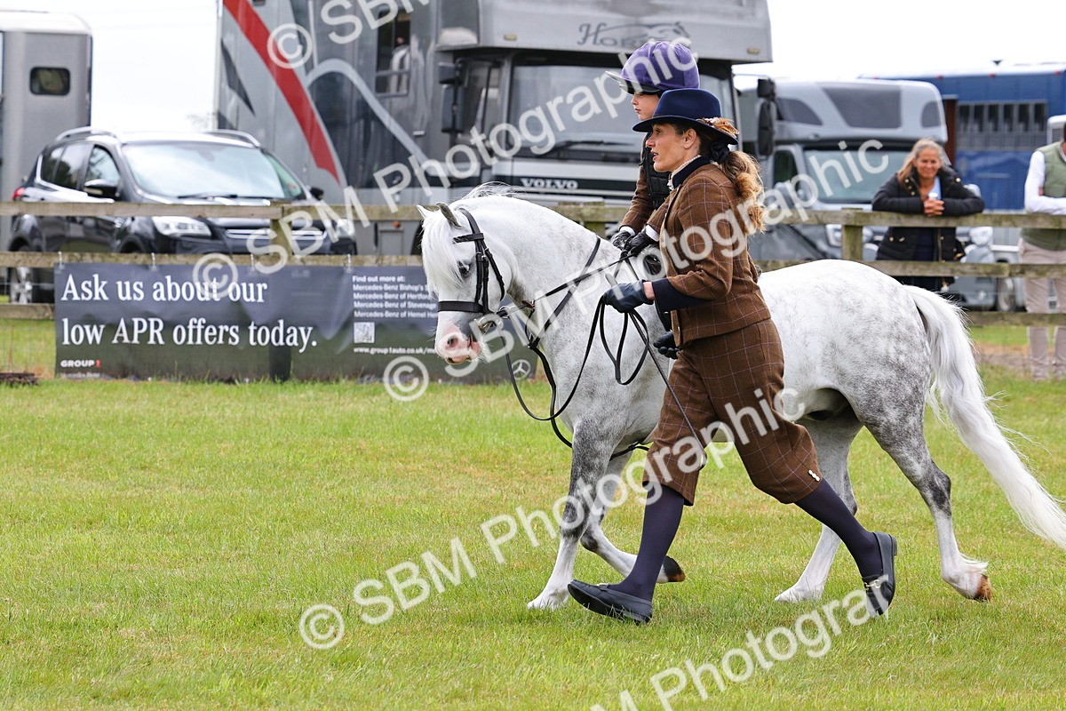 SBM_08262 - Class 42-43 - LIHS BSPS Heritage Working Sports Pony