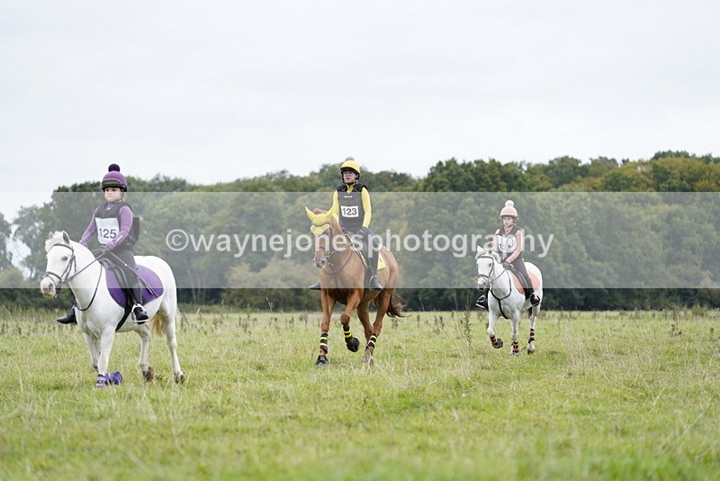 _DSC6651 - Time at Photographer 10:13 to 10:42