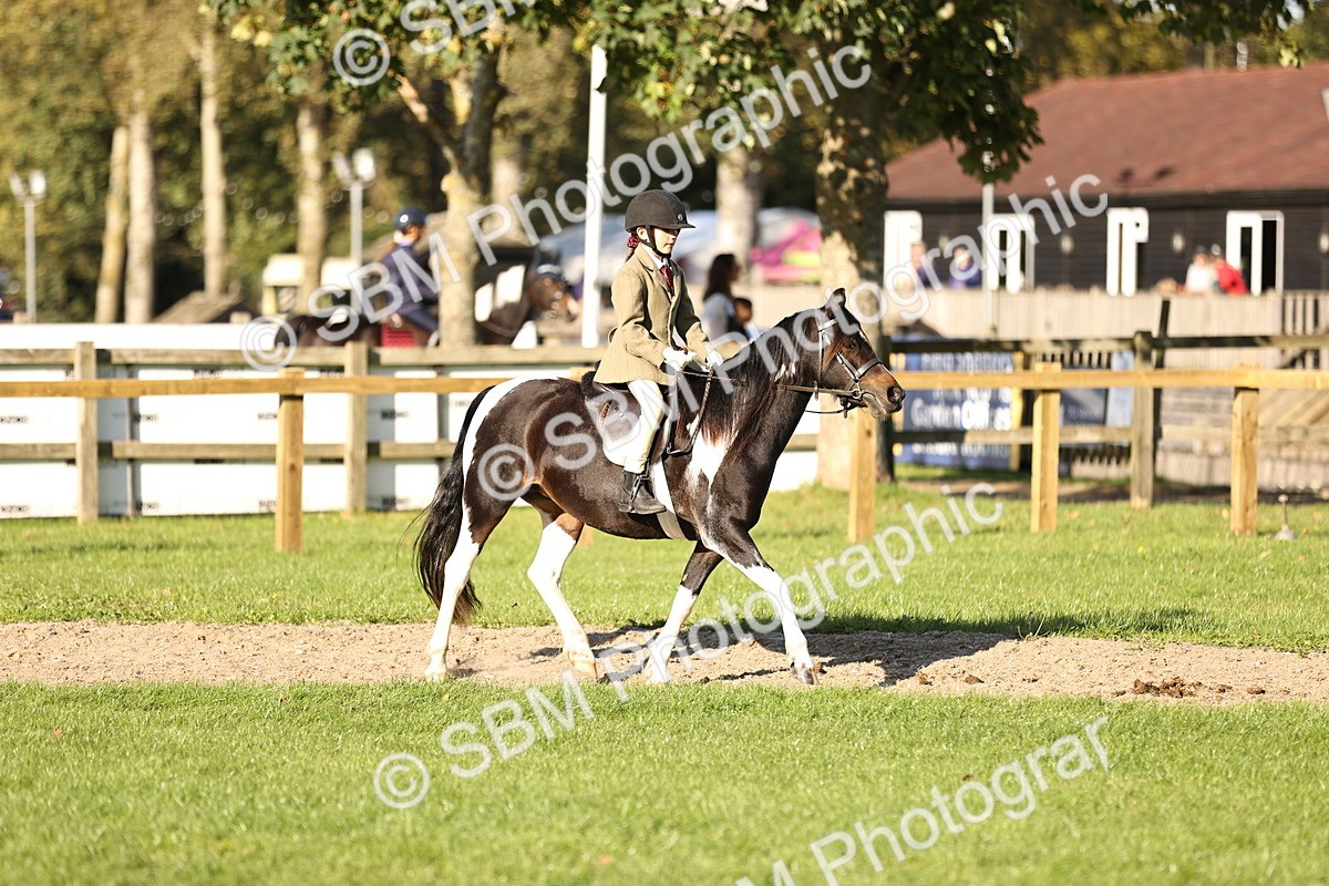SBM_29414 - S7 - Novice & Newcomers Ridden Pony