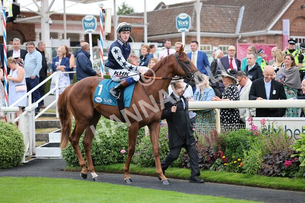 yr22072022r4-2 - Race 4 6.50pm The IRE Incentive It Pays To Buy Irish EBF Restricted Novice Stakes