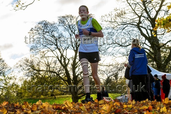 NatRel25-913804 - Young Female Set Two