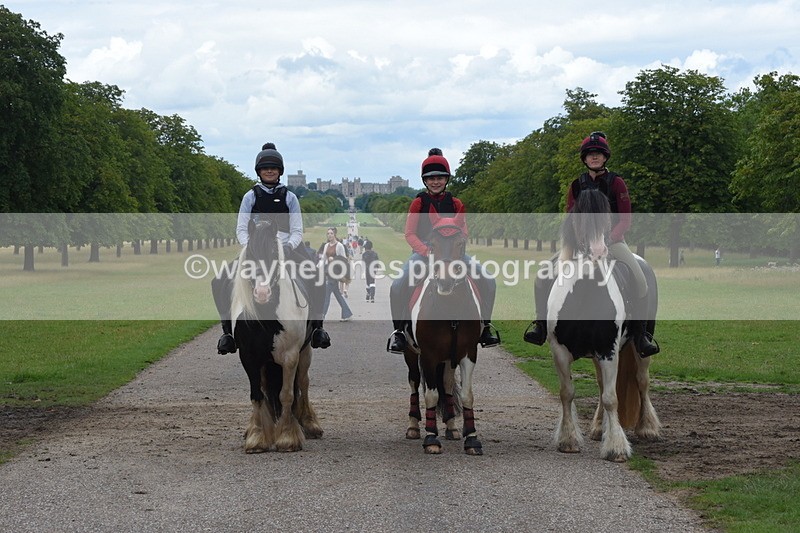 TT3_0282 - Time at Crossing 13:17 to 14:48