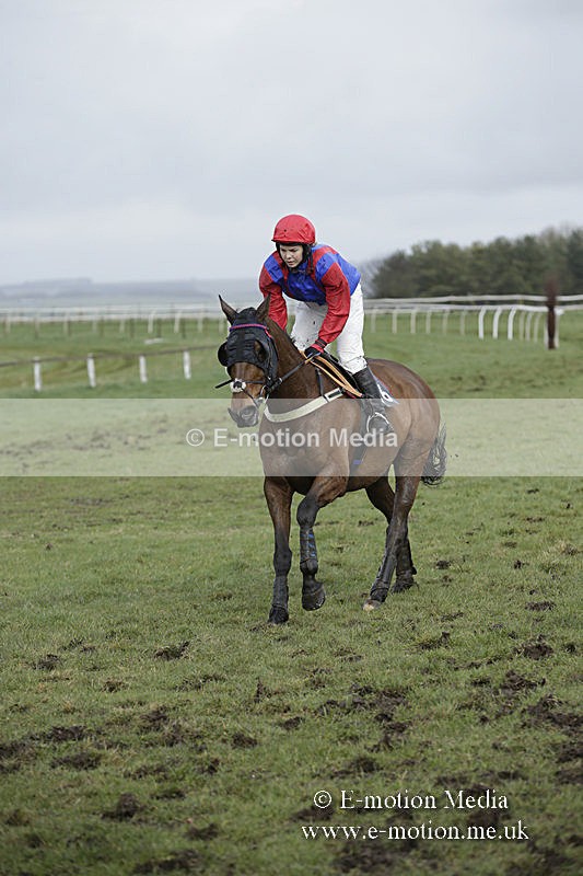 PtP 150320 0443 - New Forest Point-to-Point Larkhill 15/03/20