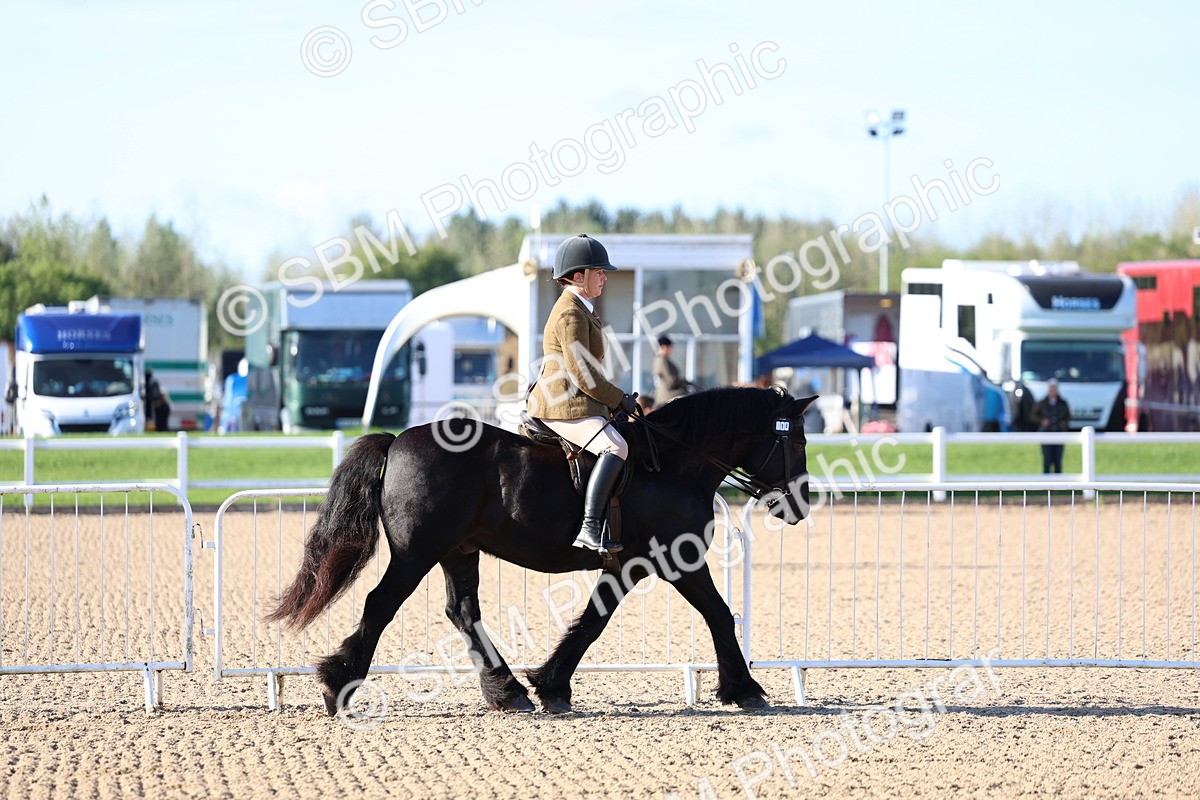 SBM_08737 - Class 302 - Ridden M&M - Large Breeds