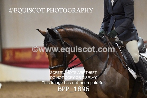 BPP_1896 - INTRO TEST 3