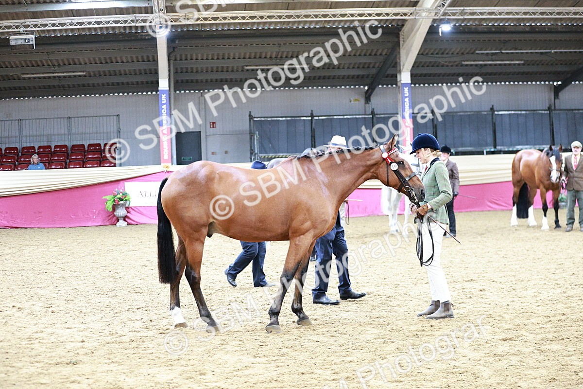 SBM_01184 - Class 3A - Area IH Pre-Vet