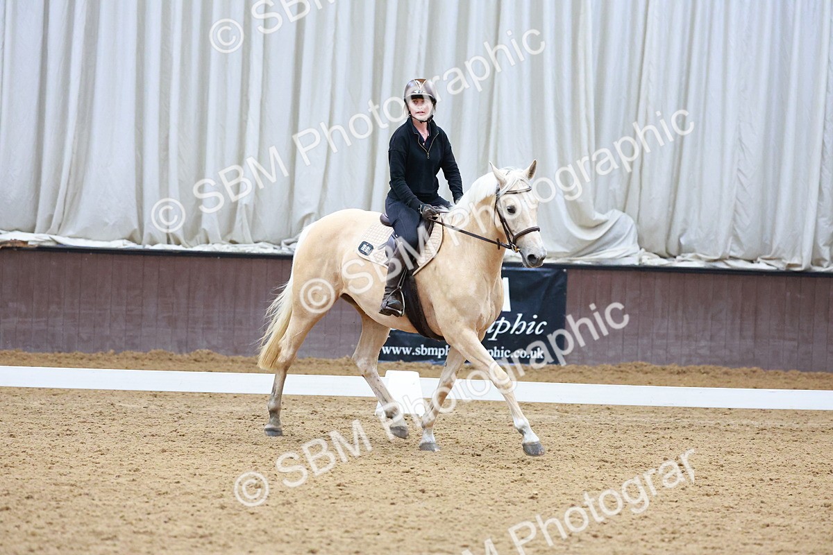 1I0A0624 - Class 3-6 - Prelim 1-Novice 2