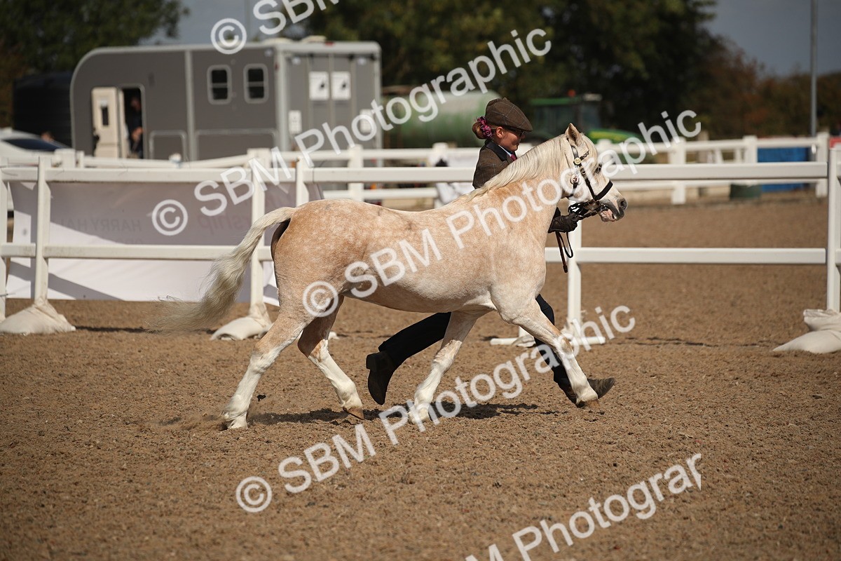 SBM_23388 - Class 604 - 2026 - Area IH Diamond