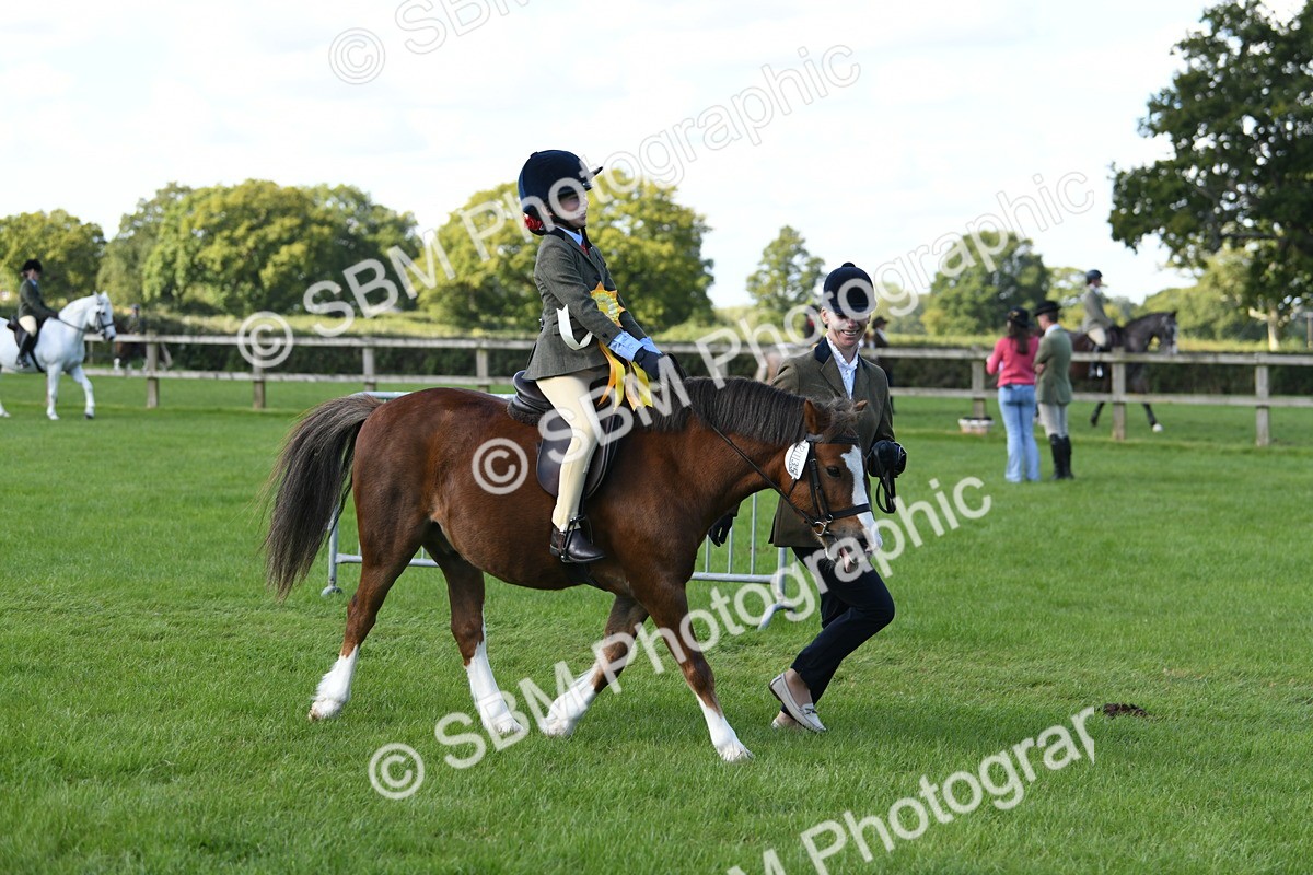 SBM_39711 - S18 - Novice & Newcomers Lead Rein Pony