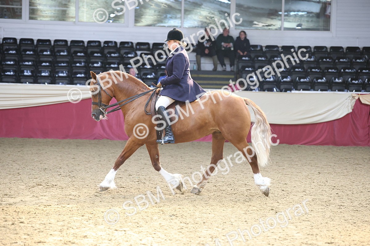 SBM_23825 - class 906 - Supreme Final - Ridden Pre Vet