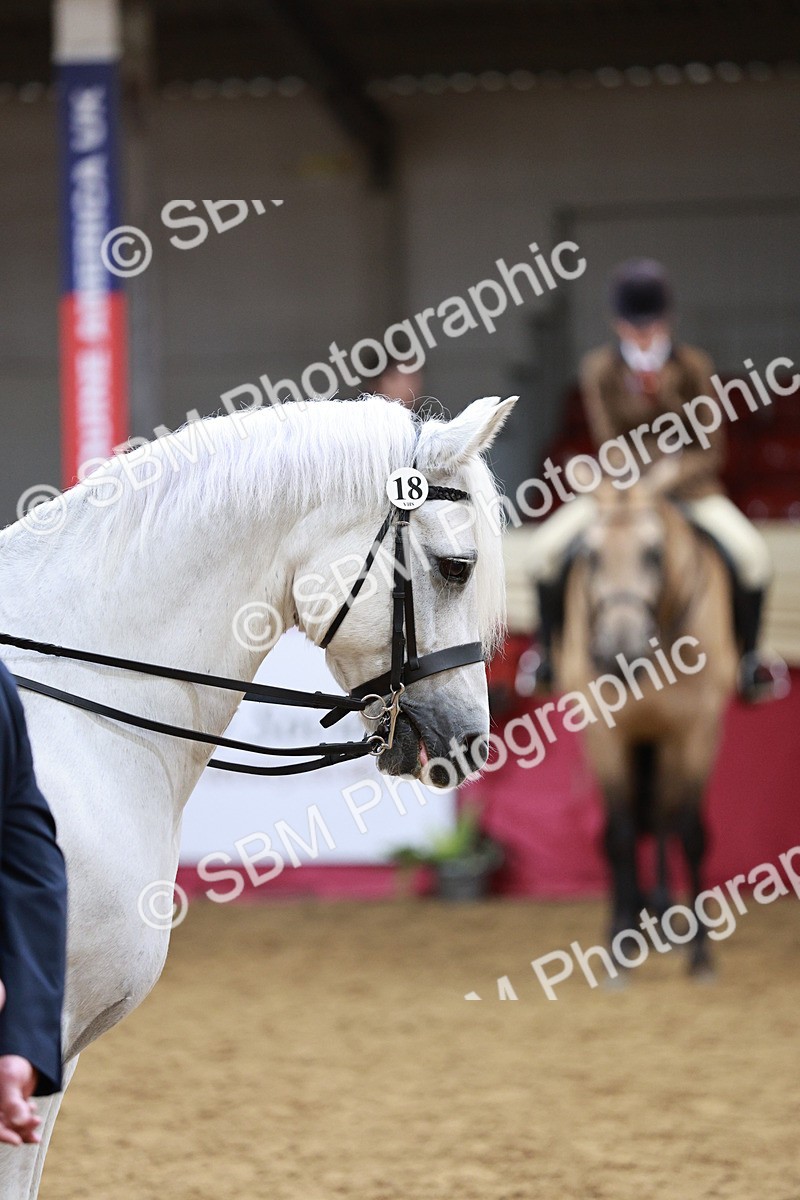 SBM_03631 - Class 6A Area Ridden Pre-Vet