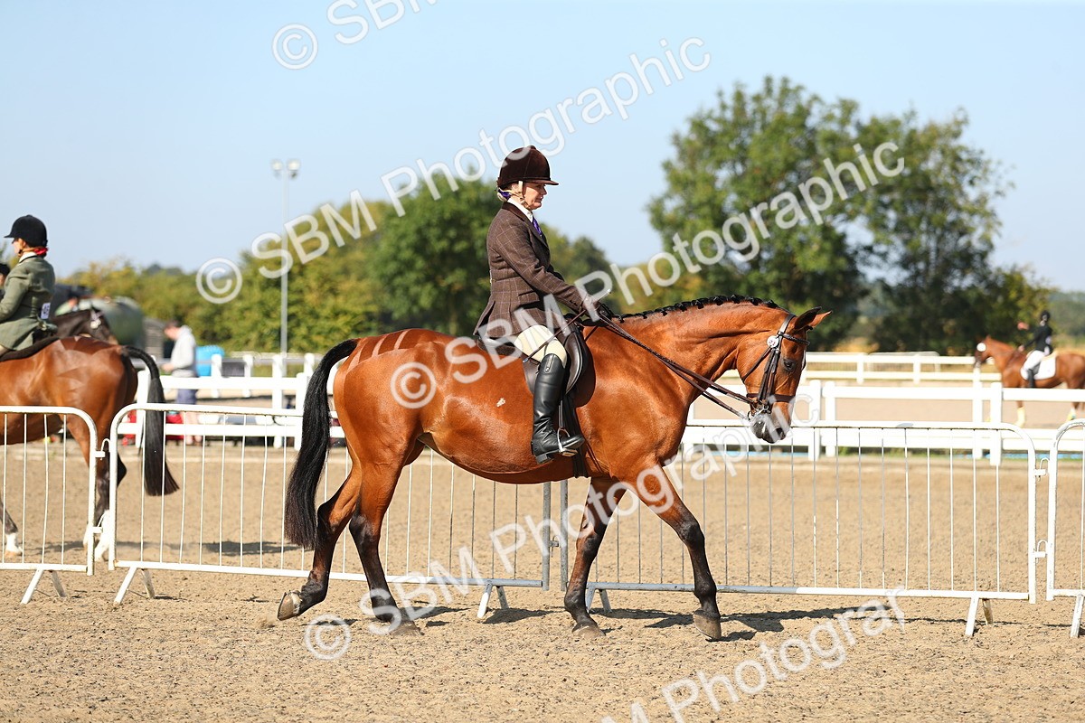 SBM_02169 - Class 43 Ridden Competition Horse/Pony