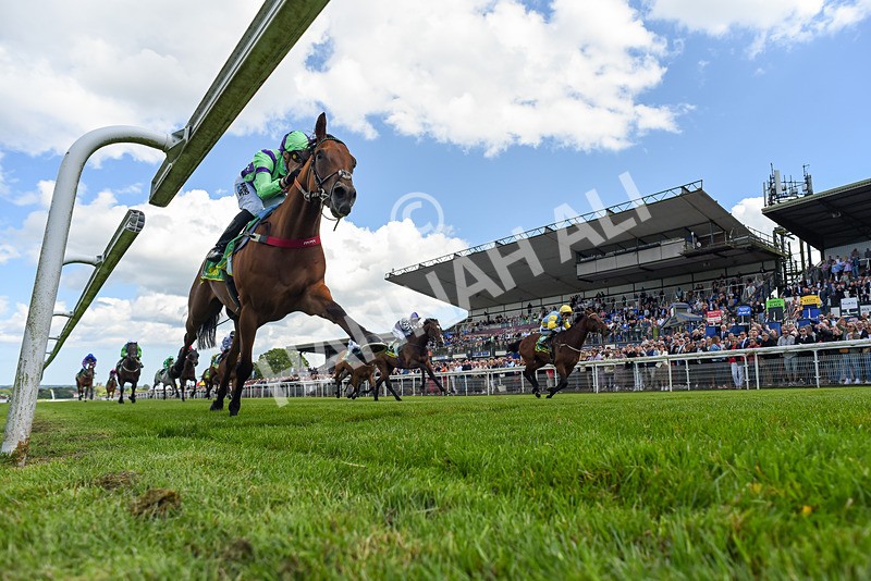 080624-Race 4-Billyb-0529 - Race 4