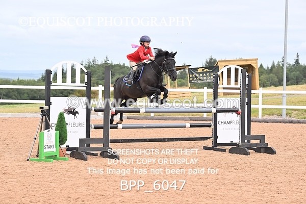 BPP_6047 - SUN CLASS 49 Horse of The Year Show 128cms Qualifier