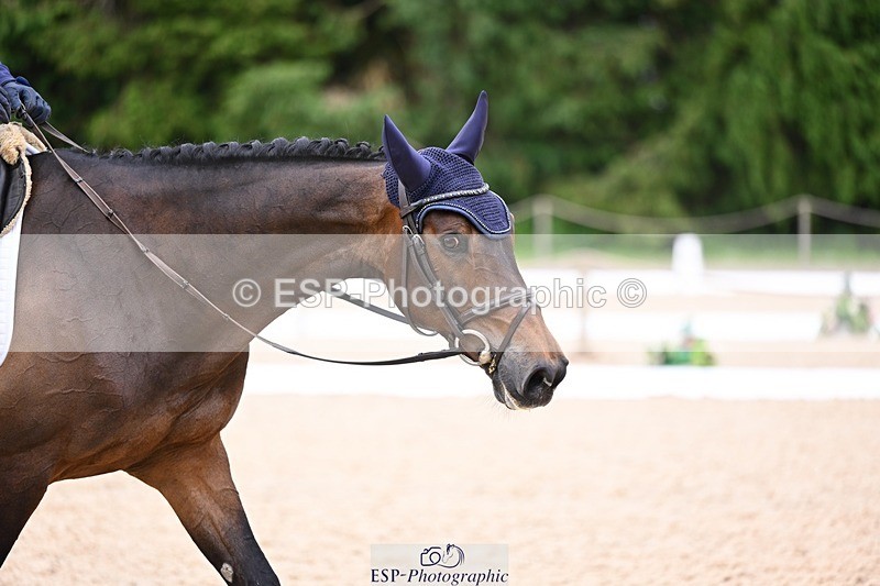 240524-114837-09040 - 521-DIVALI-Elaine_Pen