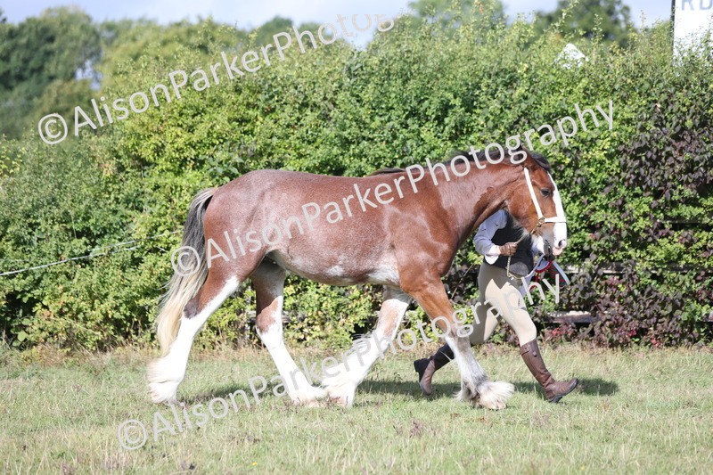 20250831-1571 - Class 21 - Inhand Open